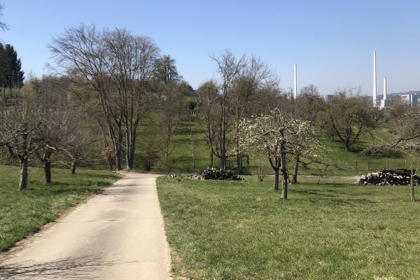 Frühling in Deizisau
